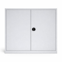 Archivační skříň se 2 policemi, DOCUCAB H 1000/1200/420 GY