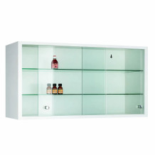 Závěsná skříň na léky s prosklenými dveřmi, WALLCAB M 500/1000/250 9010