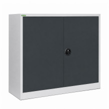 Skladovací skříň se 2 policemi, 1000/1200/420 - RAL 7016