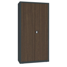 Kancelářská skříňka s dřevěnou dýhou na dveřích, DOCUCAB WOOD M 1990/1000/435 7016/TEK