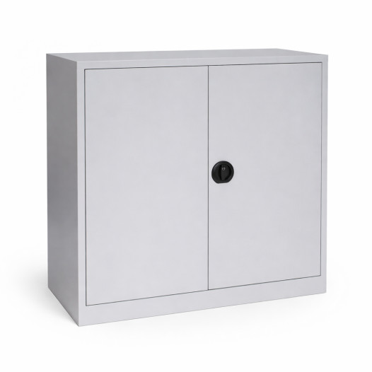 Archivační skříň se 2 policemi, DOCUCAB H 1000/1000/420 GY